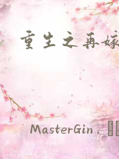 重生之再嫁前夫