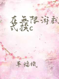 在无限游戏里花式挨c