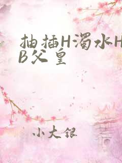 抽插H浊水H嫩B父皇
