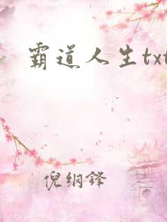 霸道人生txt