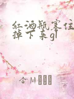 红酒瓶塞住不准掉下来gl