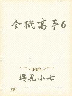 全职高手6