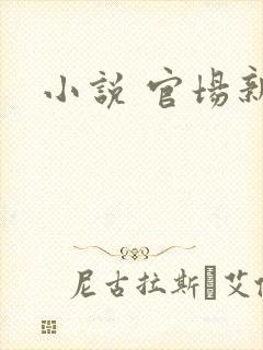 小说 官场新贵