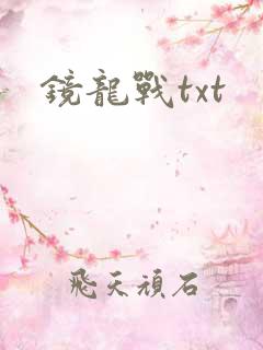 镜龙战txt