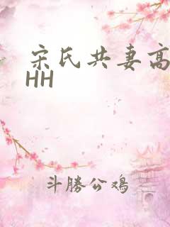 宋氏共妻高黄HHH