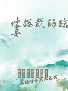 坏总裁的临时娇妻