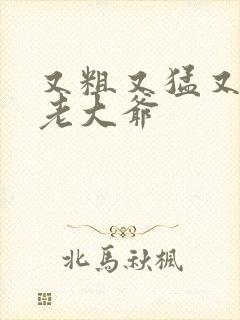 又粗又猛又大爽老大爷