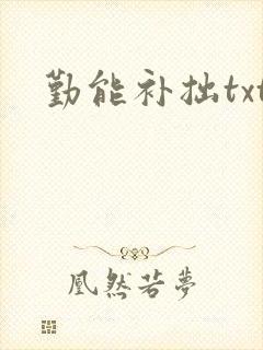 勤能补拙txt