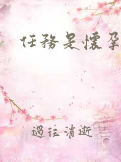 任务是怀孕系统