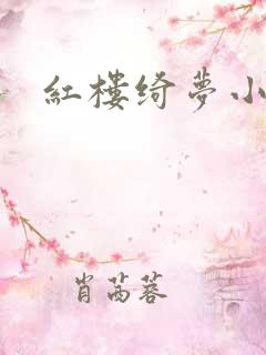 红楼绮梦小说