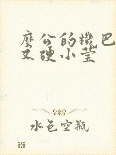 么公的机巴又粗又硬小莹