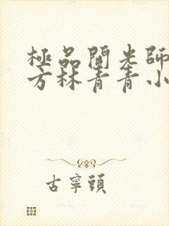 极品开光师李南方林青青小说免费阅读