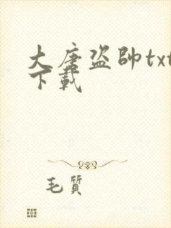 大唐盗帅txt下载