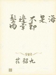 鬓边不是海棠红肉章节