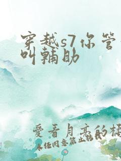 穿越s7你管这叫辅助