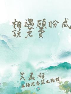 相遇顾盼成欢小说免费