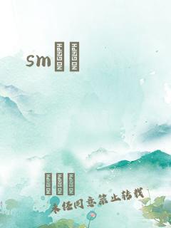 smˮŰ