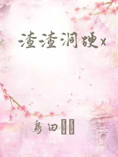 渣渣洞硬x