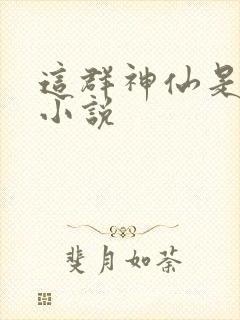 这群神仙是假的小说