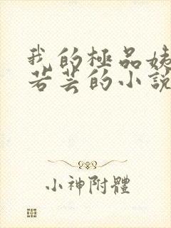 我的极品姨妈柳若芸的小说在线