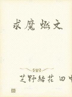 求魔 燃文