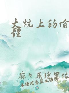 大炕上的偷换肉体