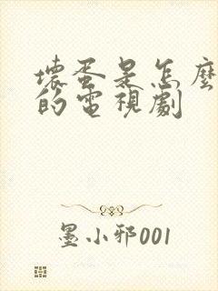 坏蛋是怎么炼成的电视剧