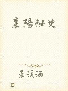 襄阳秘史