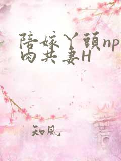 陪嫁丫头np全肉共妻H