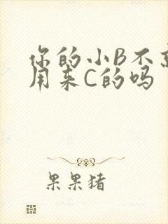 你的小B不就是用来C的吗