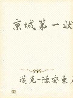 京城第一状师