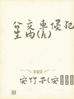 公交车侵犯小男生肉(h)