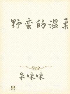 野蛮的温柔