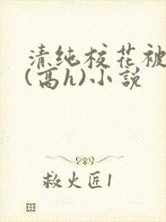 清纯校花被调教(高h)小说