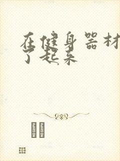 在健身器材上做了起来