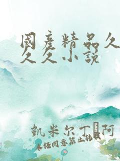 国产精品久久久久久小说