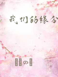 我们的缘分小说