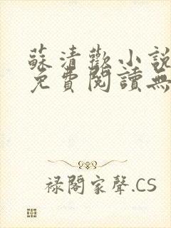 苏清欢小说全文免费阅读无弹窗