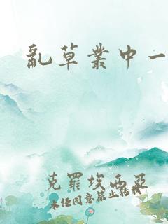 乱草丛中一杆枪