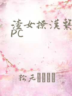 渣女撩汉系统NPC