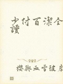 少付百洁全文阅读