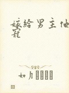 嫁给男主他爹肉宠