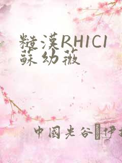 糙汉RH1C1苏幼薇