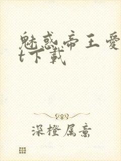 魅惑帝王爱txt下载