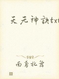 天元神诀txt