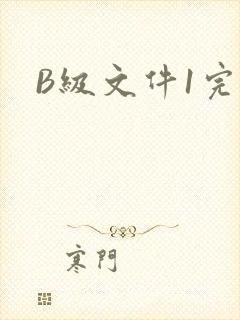 B级文件1完整