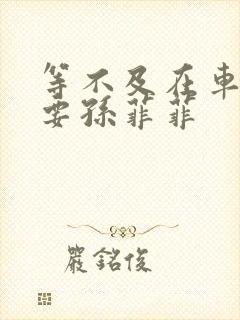 等不及在车里就要孙菲菲