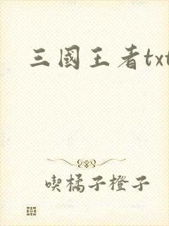 三国王者txt