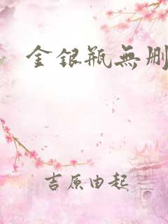 金银瓶无删除