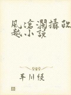 风沧澜摄政王穿越小说